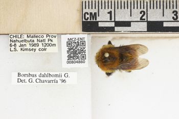 Media type: image;   Entomology 804860 Aspect: labels